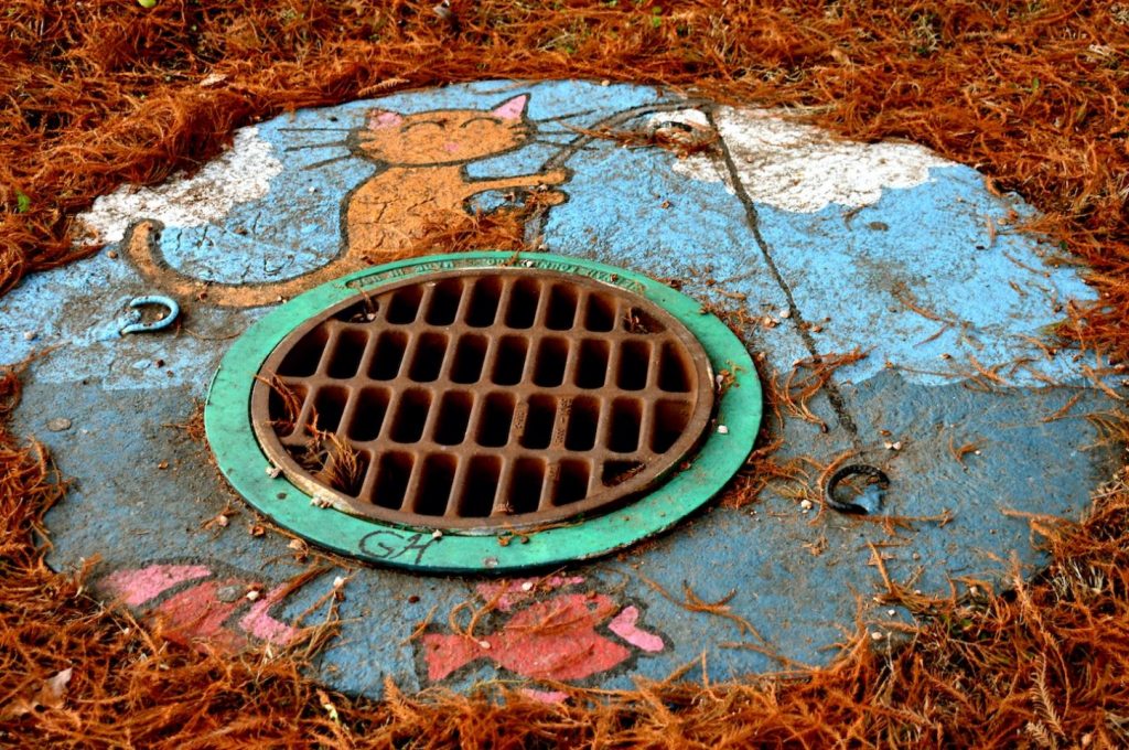 tell tale signs of blocked drains